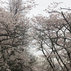 Meet your Posher, Vivian